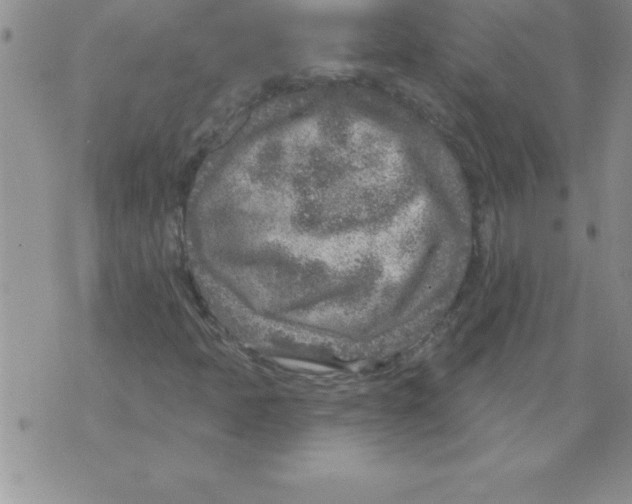 X0000071801397200607282316