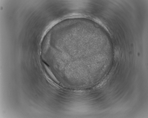 X0000071801413200607282316