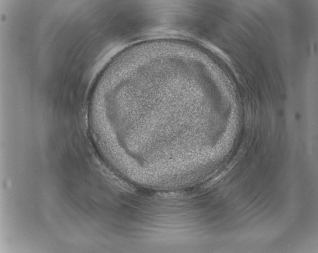 X0000071801415200607282316