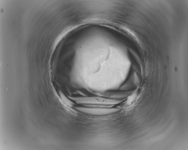 X0000071801430200607282316