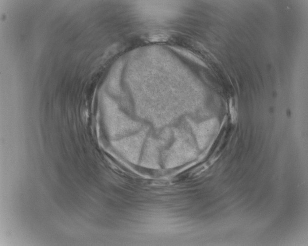 X0000071801443200607282316