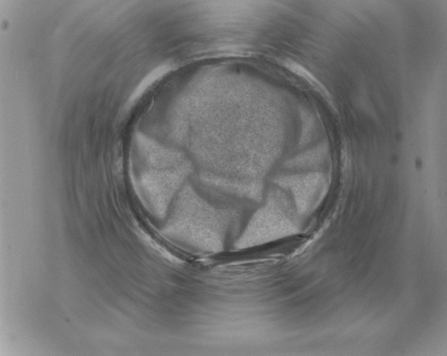 X0000071801450200607282316