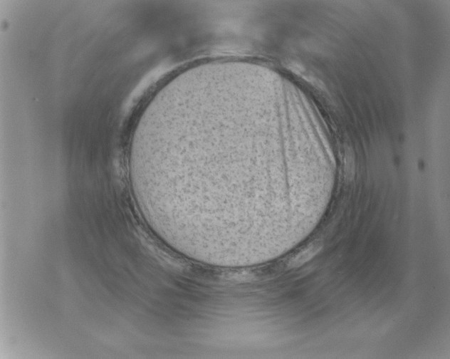 X0000071801454200607282316