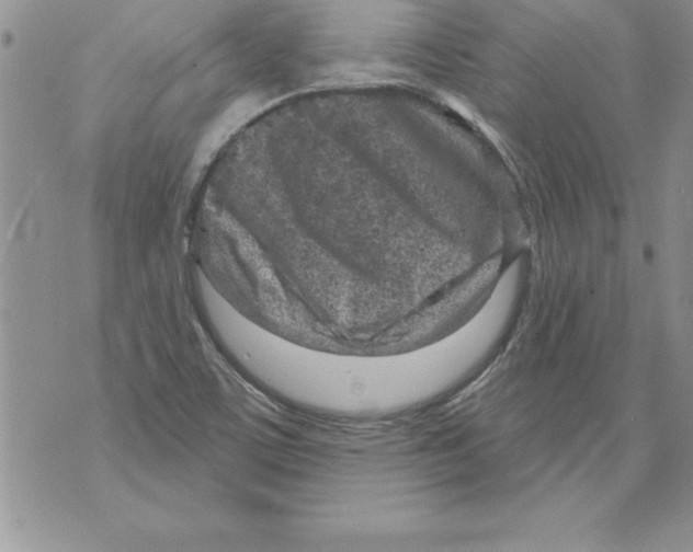 X0000071801459200607282316