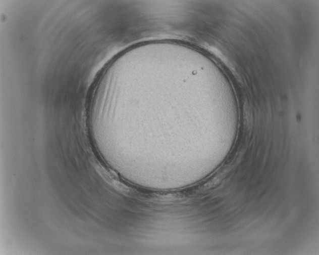 X0000071801460200607282316