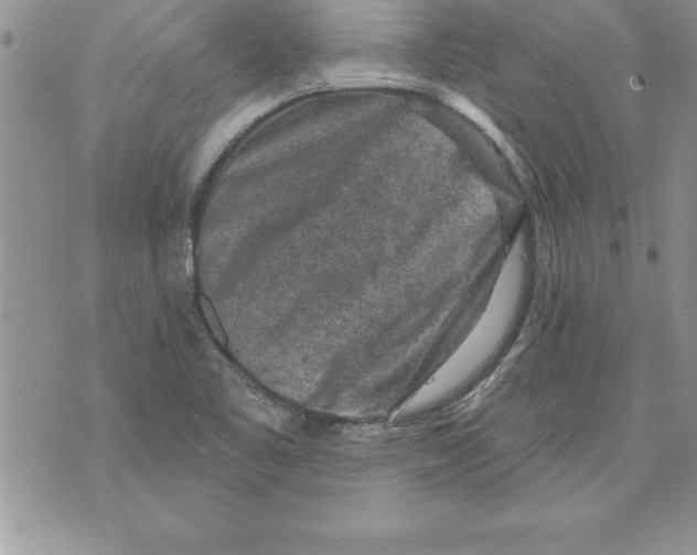 X0000071801461200607282316