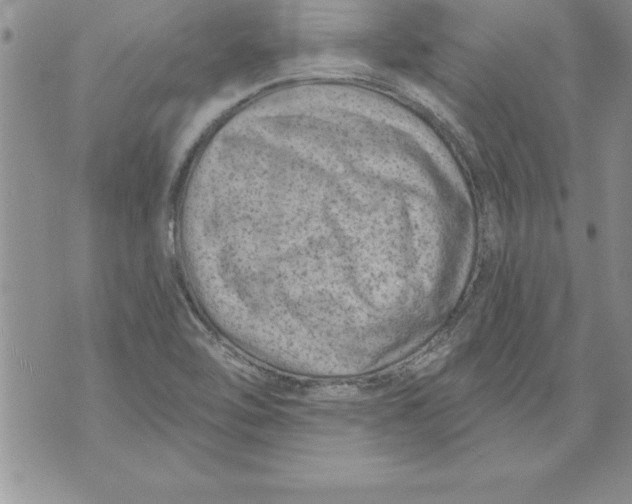 X0000071801462200607282315