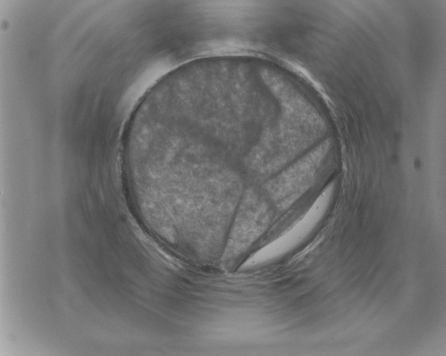 X0000071801463200607282315