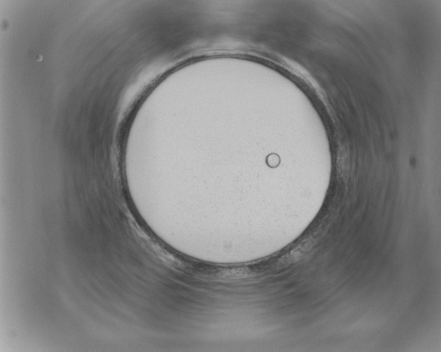 X0000071801464200607282315