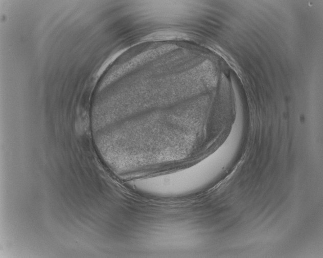 X0000071801465200607282315