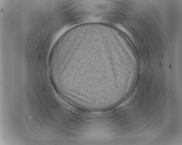 X0000071801467200607282315