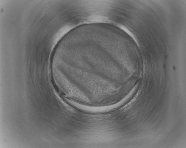 X0000071801469200607282315