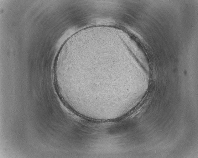 X0000071801471200607282315