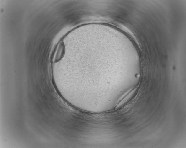 X0000071801472200607282315