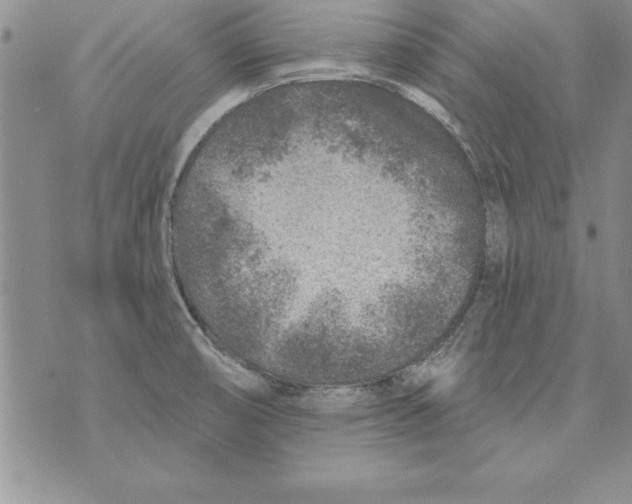 X0000071801474200607282315