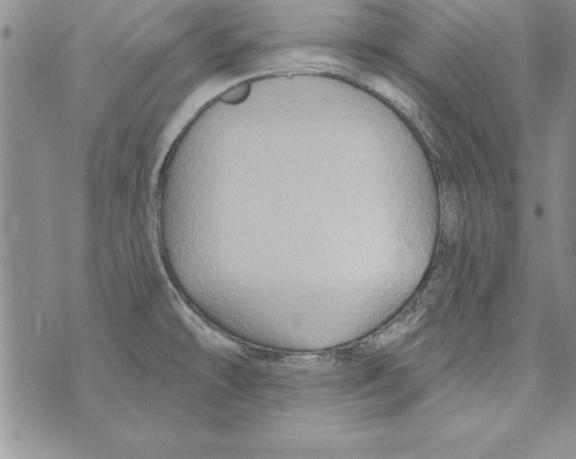 X0000071801478200607282315