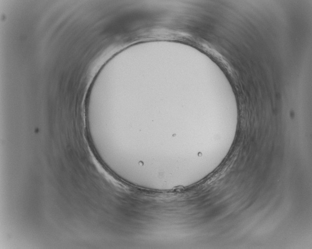 X0000071801479200607282315