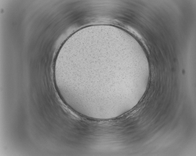 X0000071801480200607282315