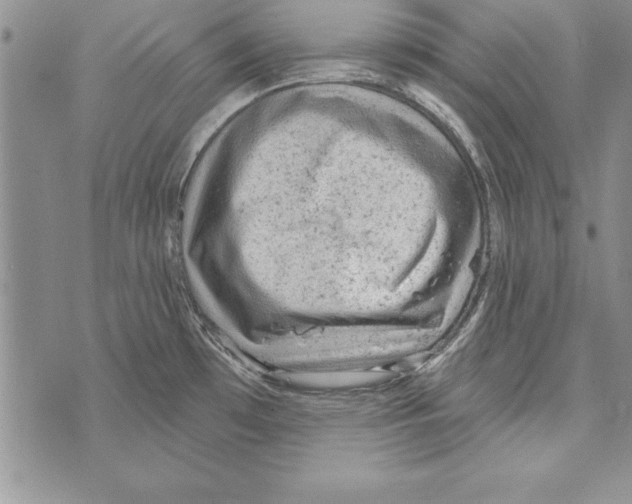 X0000071801481200607282315