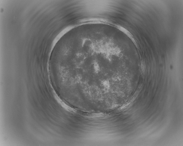 X0000071801482200607282315