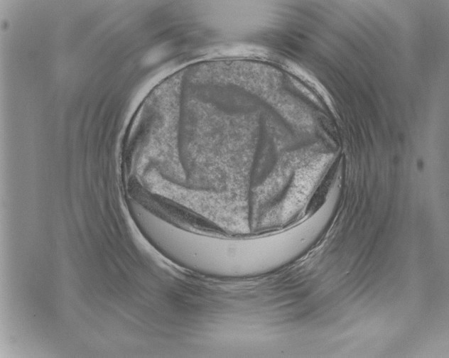 X0000071801483200607282315