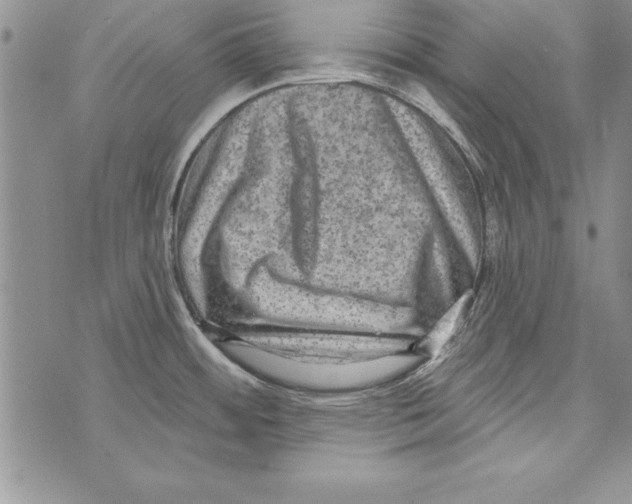 X0000071801484200607282315