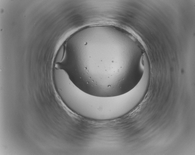 X0000071801485200607282315