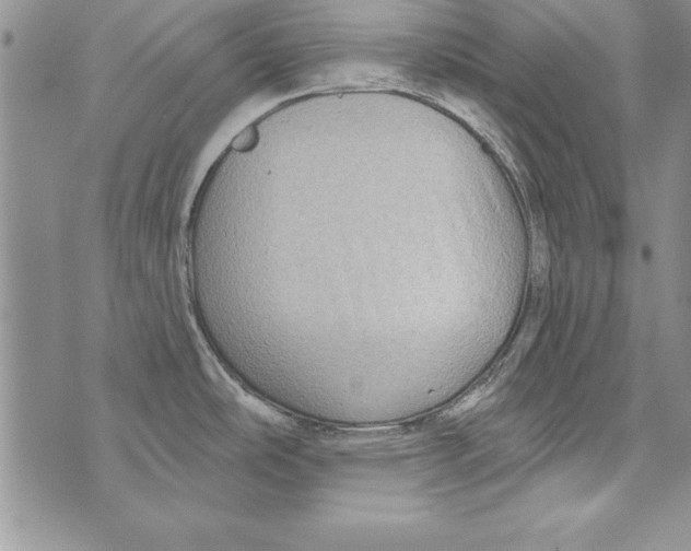 X0000071801486200607282315