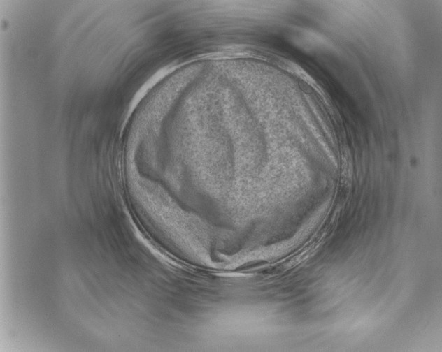 X0000071801487200607282315