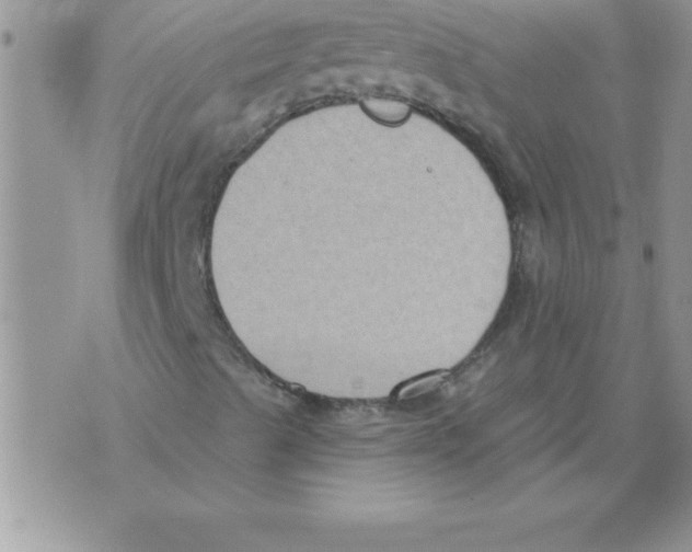 X0000071801489200607282314