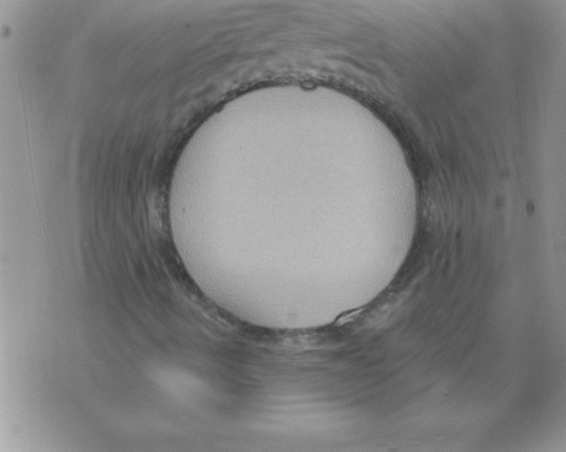 X0000071801490200607282314