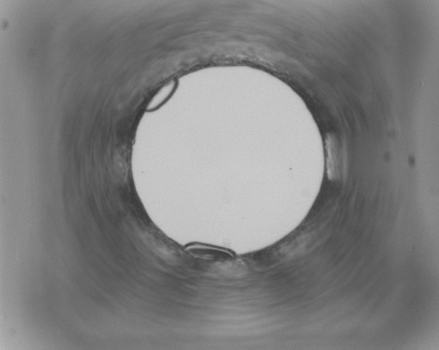 X0000071801491200607282314