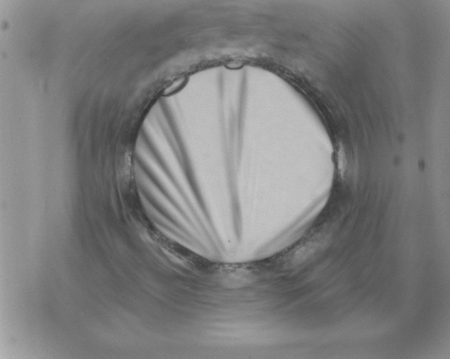 X0000071801492200607282314