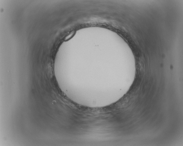 X0000071801493200607282314