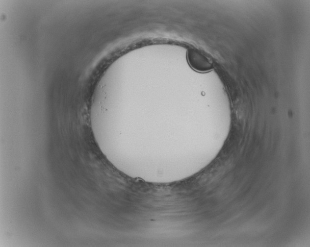 X0000071801495200607282314