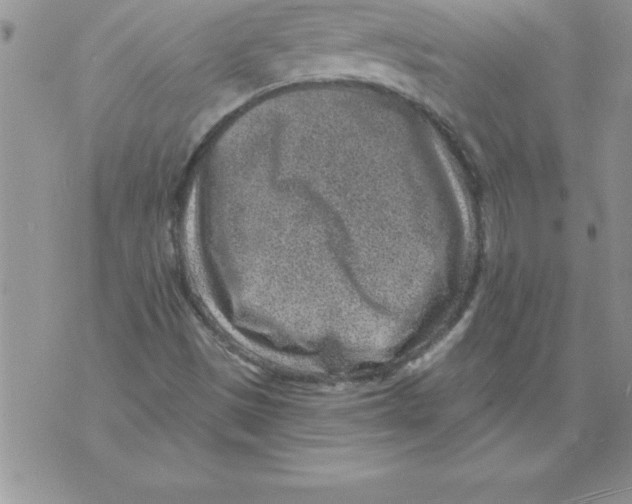 X0000071801497200607282314