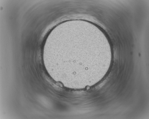 X0000071801498200607282314