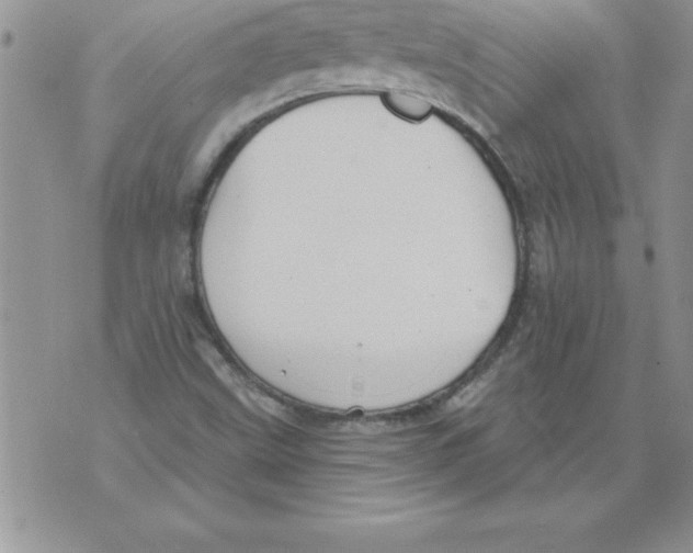 X0000071801499200607282314