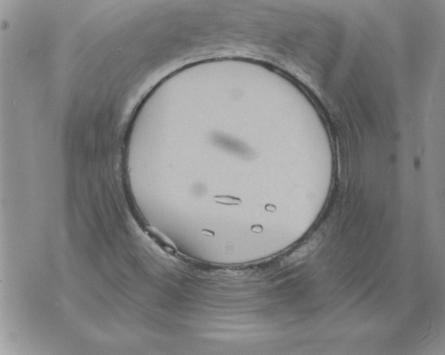 X0000071801500200607282314