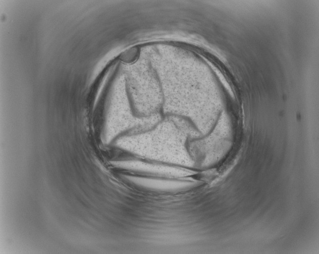 X0000071801501200607282314