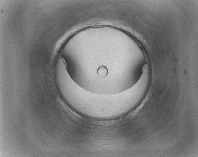 X0000071801502200607282314