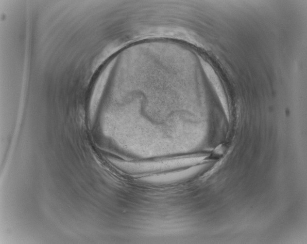 X0000071801505200607282315