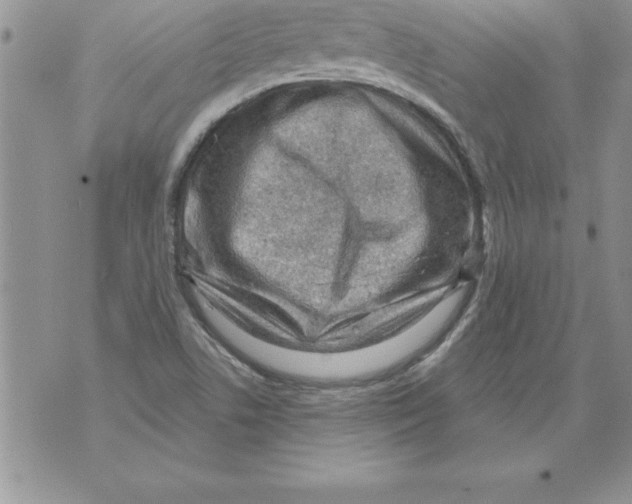 X0000071801506200607282315