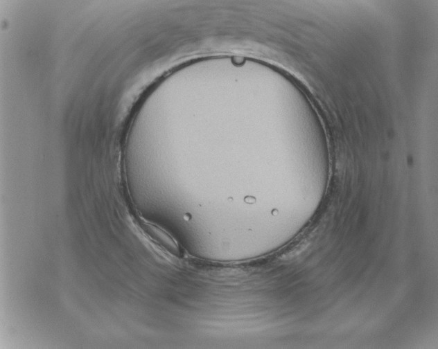 X0000071801507200607282315