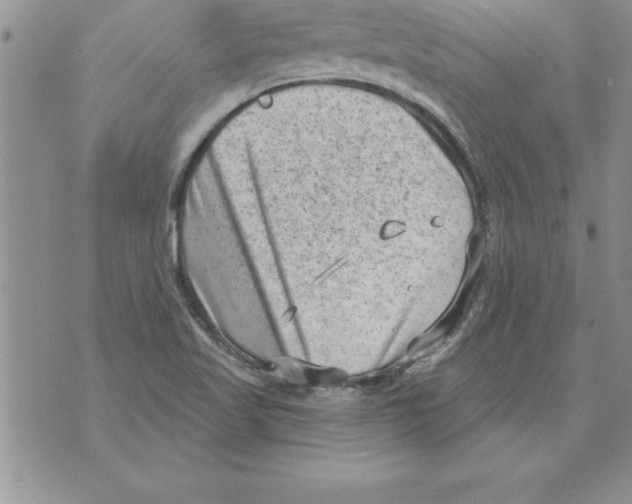 X0000071801509200607282315