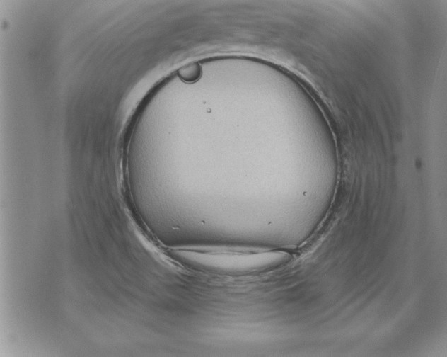 X0000071801511200607282315