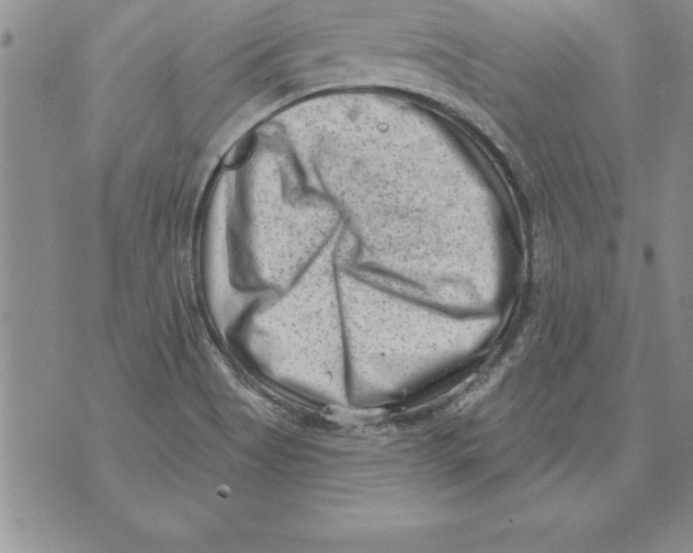 X0000071801513200607282315