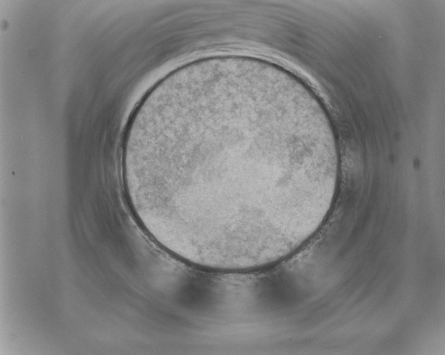 X0000071801514200607282315