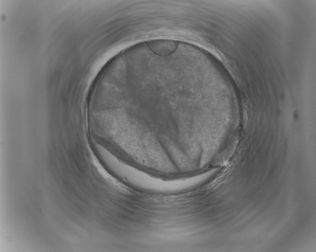 X0000071801515200607282315