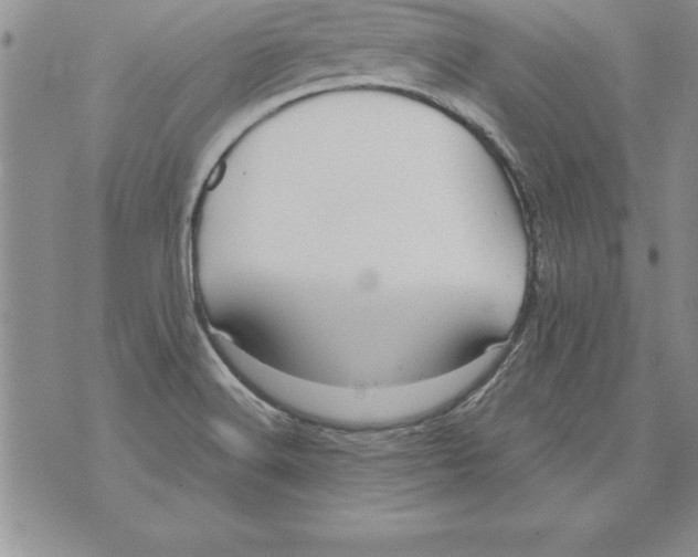 X0000071801516200607282315